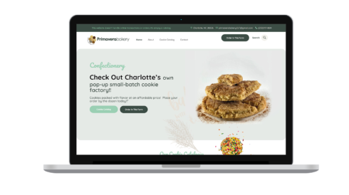 MOCKUP WEB PRIMAVERA BAKER